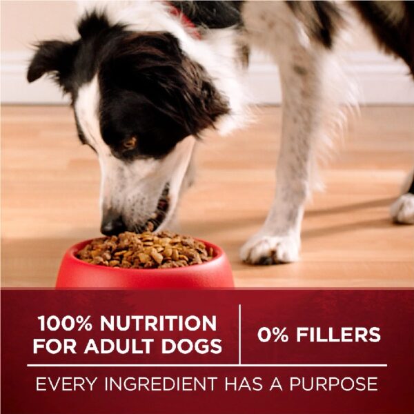 True Instinct Dry Dog Food for Adult Dogs, High Protein Real Turkey & Venison, 15 lb Bag