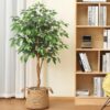 DR.Planzen 5 feet Artificial Ficus Tree, Tall Lifelike Greenery with Natural Wood Trunk for Living Room, office floor and corner decor