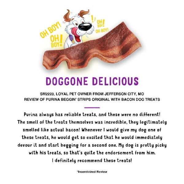 Purina  Dog Treats Original with Real Bacon Flavor Tender Chews, 40 oz Pouch