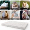 2PC Rabbit Scratching Pad for Small Pets - Lava Pumice Chew Toy for Guinea , Ferret, Hedgehog, Chinchilla, Hamster