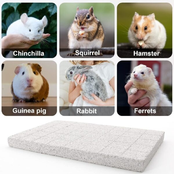2PC Rabbit Scratching Pad for Small Pets - Lava Pumice Chew Toy for Guinea , Ferret, Hedgehog, Chinchilla, Hamster