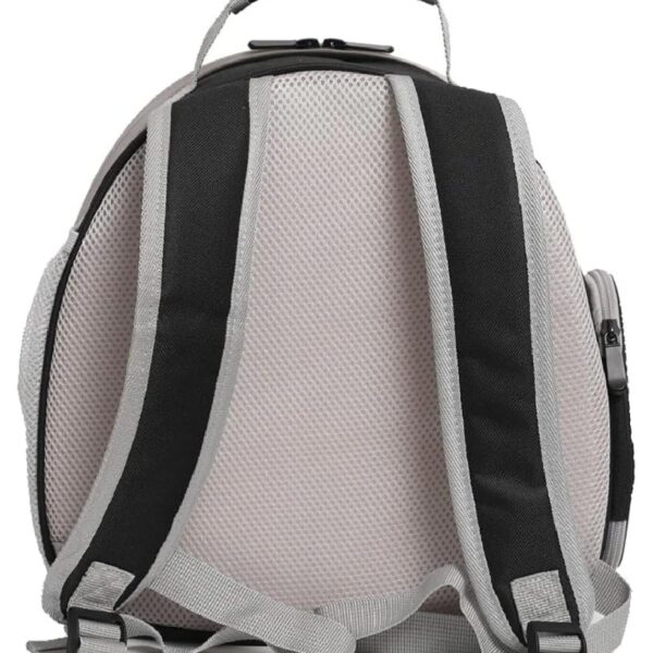 Portable Small Animal Travel Pet,Guinea Pig Backpack,Reptile Travel Backpack for Bearded Dragon Lizards Sugar Glider Hedgehog Rat Squirrel s,Breathable Handbag Airline Approved (Black, Backpack)