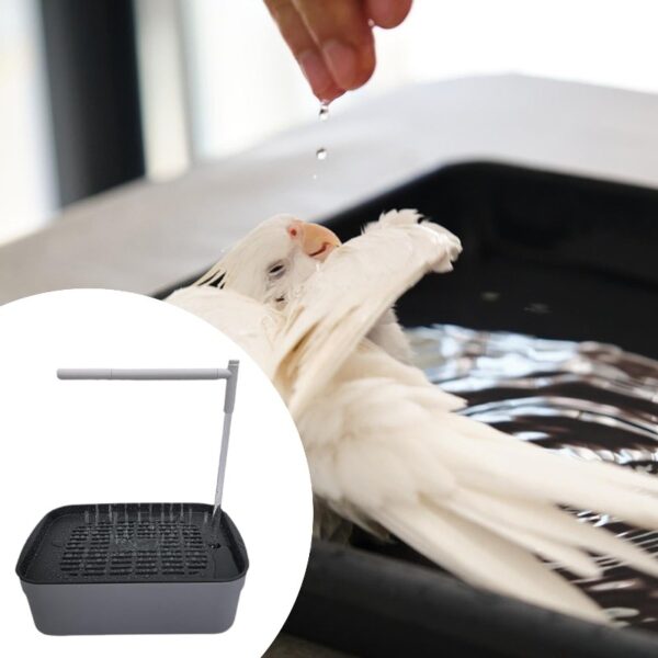 Dualoai Automatic Bird Bath Tub Parakeet Bath for Lovebird Medium Birds African Grey L