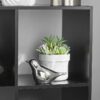 6 Cube Storage Organizer, White