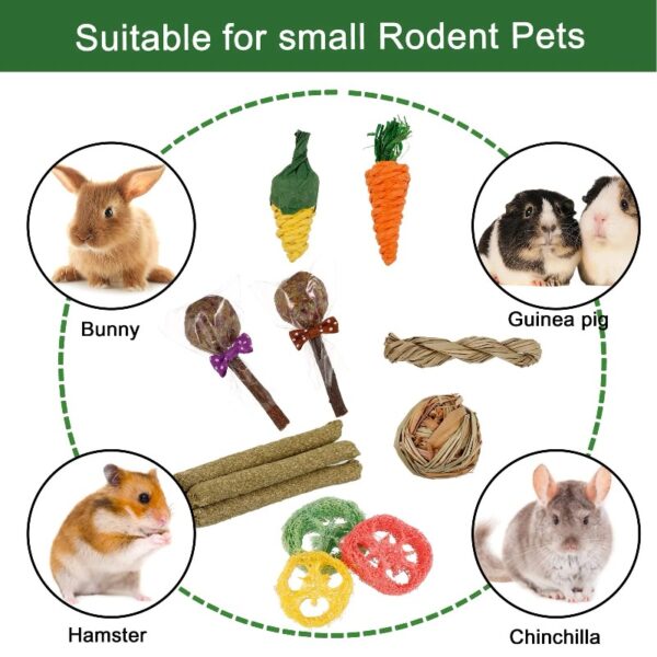 14Pcs Rabbit Toy for Teeth, Bunny Toys, Rabbit Chew Toys, Bunny Chew Toys for Teeth, Loofah Wood Sticks Ball Toys for Rabbits, Guinea Pig, Chinchilla