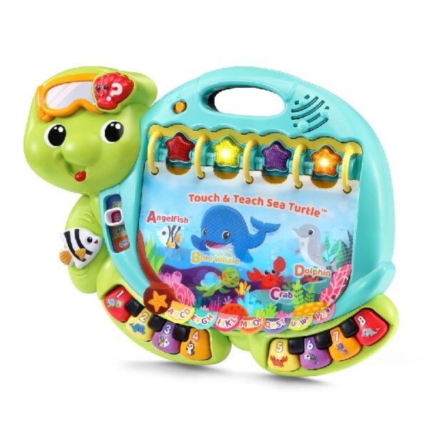 Turtle Baby and Toddler Toys