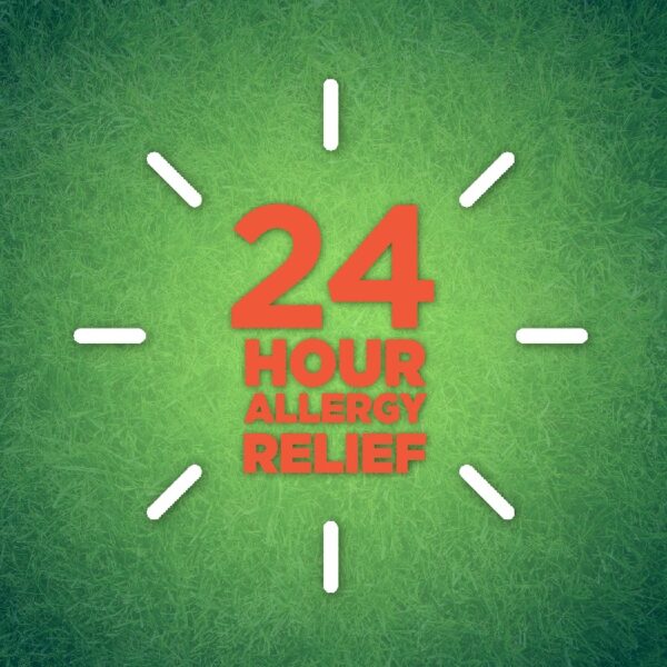 24 Hour Allergy, Cetirizine Hydrochloride Tablets, 10 mg, 300 Count