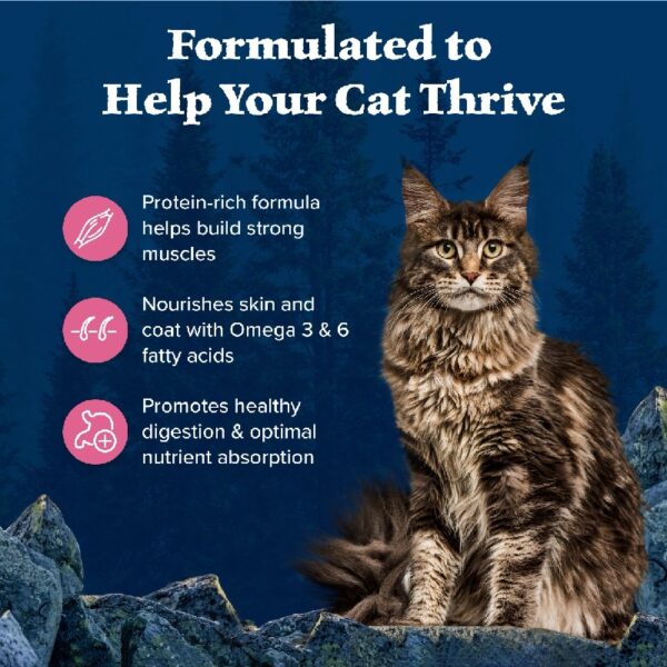 Blue Buffalo Wilderness Natural High Protein Dry Food for Adult Cats, Salmon, 4-lb Bag