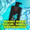 (4 pack) Apollo Refreshing Daily Use Men's Body Wash, Sage and Cedarwood, 32 fl oz