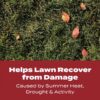 Turf Builder WinterGuard 10 Lb. 4000 Sq. Ft. Fall Lawn Food