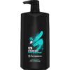 (4 pack) Apollo Refreshing Daily Use Men's Body Wash, Sage and Cedarwood, 32 fl oz