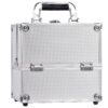 4 Trays Makeup Train Case Cosmetic Storage with Dividers Lockable Jewelry Makeup Box Organizer Pink