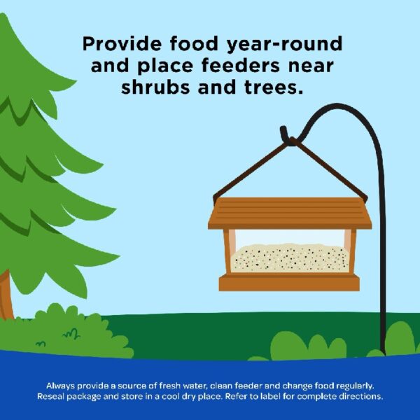 (2 pack) Peanuts Wild Bird Food 5 pounds