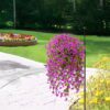 4PCS Artificial Flowers outdoor Spring Summer Decor Fake Hanging Plants UV Resistant Faux Plastic Greenery Hanging Flowers for Outside Gardens Porch Wall Home Indoor,ORANGE&YELLOW