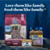 Blue Buffalo Wilderness Natural High Protein Dry Food for Adult Cats, Salmon, 4-lb Bag