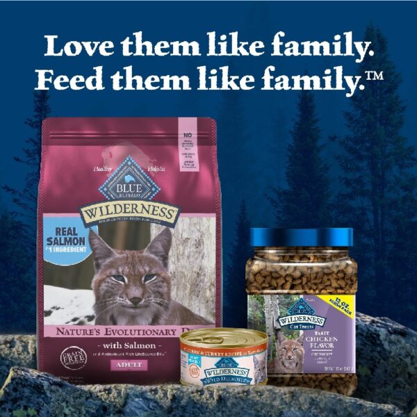 Blue Buffalo Wilderness Natural High Protein Dry Food for Adult Cats, Salmon, 4-lb Bag