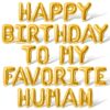 Letter Balloons - HAPPY BIRTHDAY TO MY FAVORITE HUMAN 16