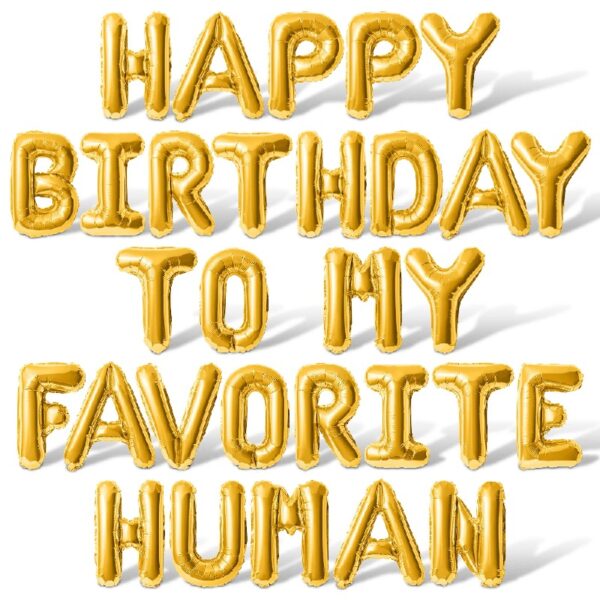 Letter Balloons - HAPPY BIRTHDAY TO MY FAVORITE HUMAN 16