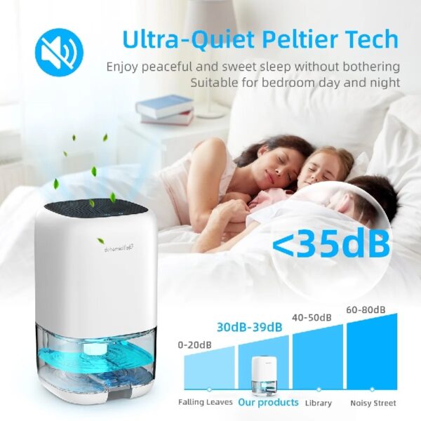 Dehumidifier Portable and Ultra Quiet with Automatic Defrosting for Home 1000ML(2200 Cubic Feet)