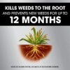 Dual Action 365 Weed & Grass Killer Plus 12 Month Preventer Refill, 1.25 gal.