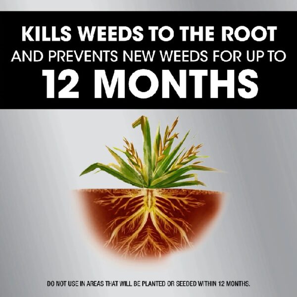 Dual Action 365 Weed & Grass Killer Plus 12 Month Preventer Refill, 1.25 gal.