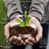 10lb of  100% Organic Coco Coir Bricks with Low EC and pH Balance High Expansion Coco Fiber for Herbs, Flowers,Plants Gardening Renewable Coconut Soil