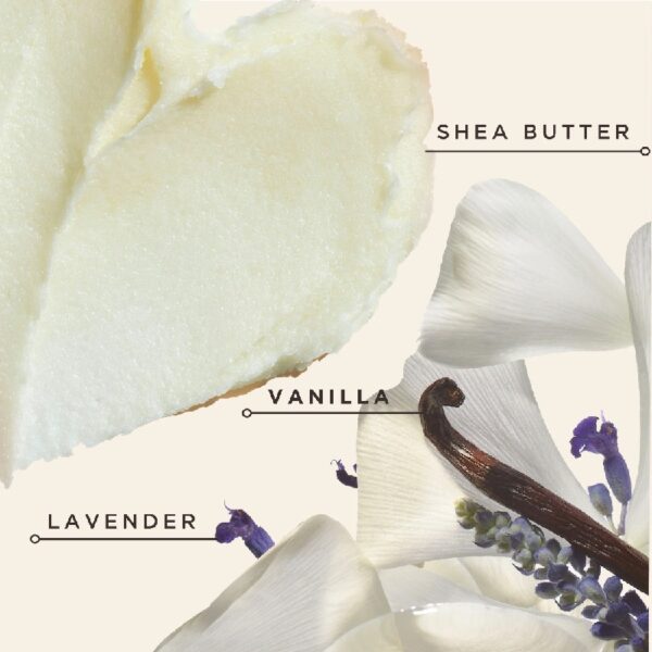 (2 pack) Black Vanilla Moisturizing Conditioner for Dry Hair with Shea Butter, 12 fl oz