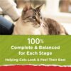Purina Cat Chow Naturals, Dry Cat Food, Chicken & Salmon, 18 lb Bag