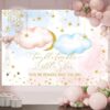 Custom Twinkle Twinkle Little Star Gender Reveal Backdrop 8x6ft Pink Blue Little Stars Baby Shower Background Glitter Gold Stars Moon Baby Reveal Surprise Party Photoshoot Banner