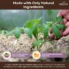 Premium Organic Wood Mulch for Gardens, Landscaping, Potted Plants, and Vegetable Gardens (0.5 CF - 14 L - 15 QTS)