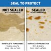 511PT6  511 Impregnator Sealer, Pint, Clear