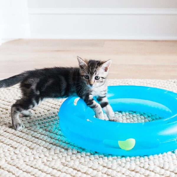 Fat Cat Crazy Circle Cat Toy For Solo or Interactive Play, Large 16.3