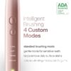 Black Series Electric Toothbrush - Rechargeable, 4 Modes, Travel Case, 8 Brush Heads