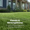 Turf Builder Lawn Fertilizer, 5,000 sq. ft., 12.5 lbs.