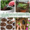 10lb of  100% Organic Coco Coir Bricks with Low EC and pH Balance High Expansion Coco Fiber for Herbs, Flowers,Plants Gardening Renewable Coconut Soil