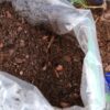 Bonsai Soil by 8qts. | Premium All-Purpose Mix | Perfect for All Bonsai Tree Varieties