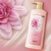 Body Wash with Pump Daily Silk With Silk Extract For Noticeably Silky 25.4 oz