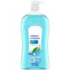 (4 pack) Body Wash, Refresh & Renew Spring Water, 32 fl oz