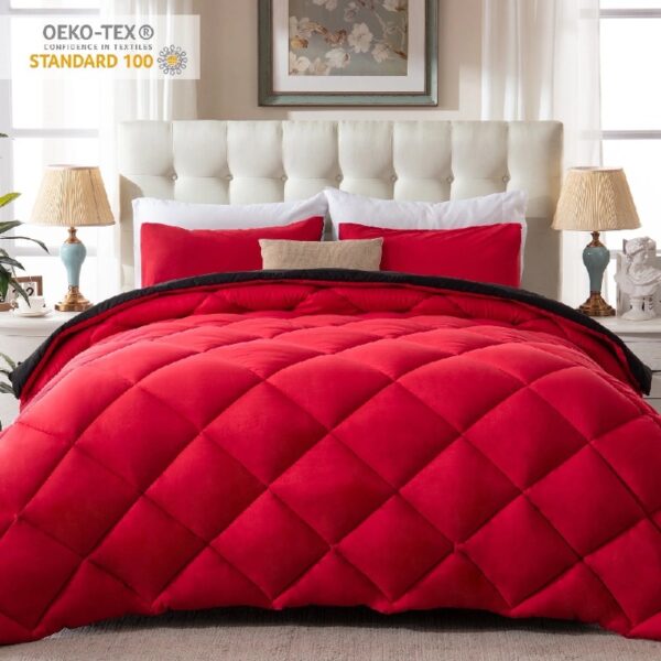 3 Pieces Bed in a Bag Comforter Set Duvet Insert,Reversible,Red/Black,Full Size Comforter Set-200GSM