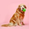 Dura Play Large Ball Dog Toy with Bacon Scent and Squeaker, Latex, 3 Pack