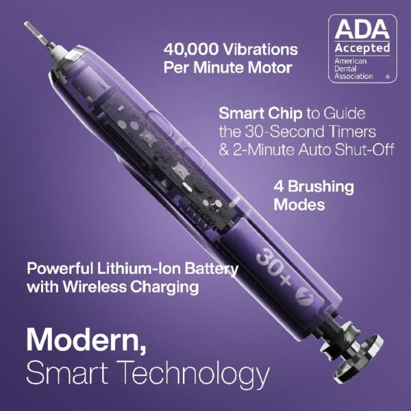 Black Series Electric Toothbrush - Rechargeable, 4 Modes, Travel Case, 8 Brush Heads