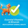 Purina Kit & KaboodleOriginal, Indoor Dry Cat Food, Chicken,Liver,Turkey,Oceanfish, 30 lb Bag