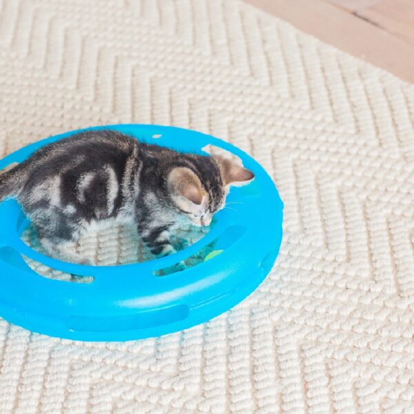 Fat Cat Crazy Circle Cat Toy For Solo or Interactive Play, Large 16.3