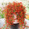4PCS Artificial Flowers outdoor Spring Summer Decor Fake Hanging Plants UV Resistant Faux Plastic Greenery Hanging Flowers for Outside Gardens Porch Wall Home Indoor,ORANGE&YELLOW