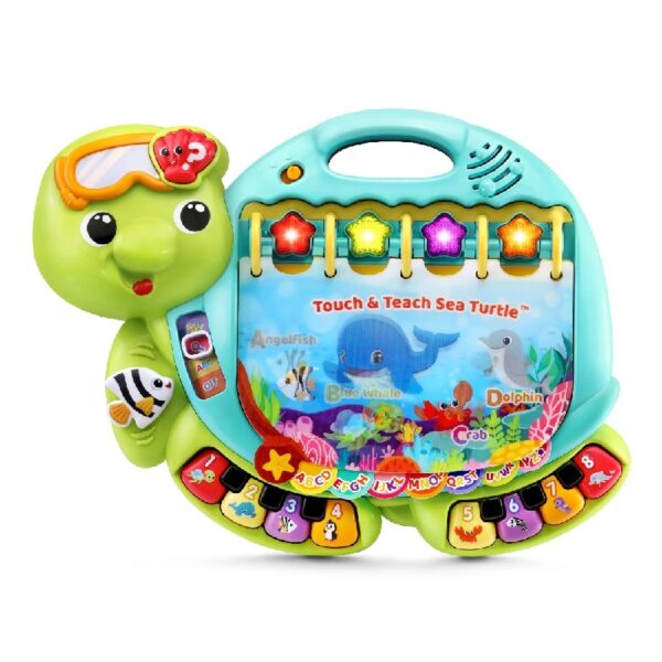 Turtle Baby and Toddler Toys