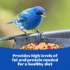 (2 pack) Peanuts Wild Bird Food 5 pounds