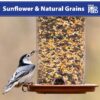 (5 pack) Sunflower & Natural Grains Wild Bird Feed, 5 lb
