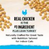 Purina Cat Chow Naturals, Indoor Dry Cat Food, Chicken & Turkey, 18 lb Bag