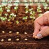 10lb of  100% Organic Coco Coir Bricks with Low EC and pH Balance High Expansion Coco Fiber for Herbs, Flowers,Plants Gardening Renewable Coconut Soil