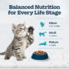 Blue Buffalo  Natural Kitten Dry Cat Food, Chicken and Brown Rice Recipe, 5-lb. Bag